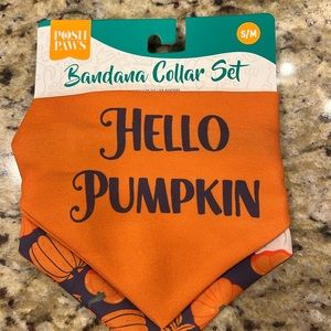 2 New Fall Pet Bandanas with a Black Collar